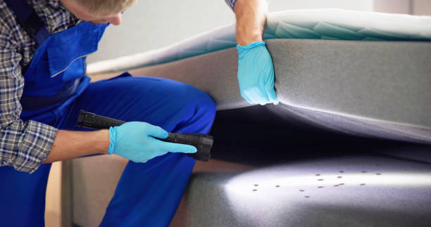Best Affordable Pest Control Services  in Ripley, TN