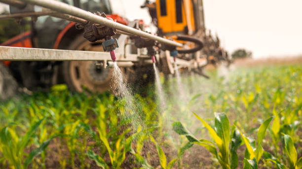 Pest Control Cost in Ripley, TN